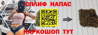 spice Гай