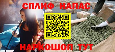 spice Гай