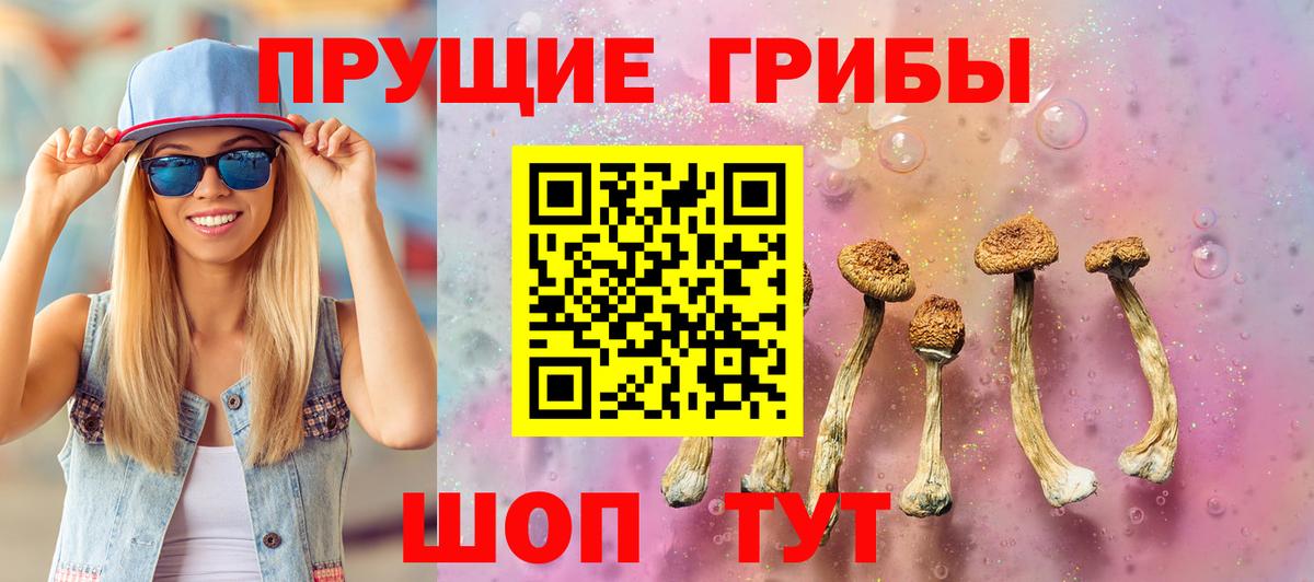 Псилоцибиновые грибы Magic Shrooms  Вход с VPN  как найти закладки  Дедовск  Псилоцибиновые грибы Magic Shrooms 